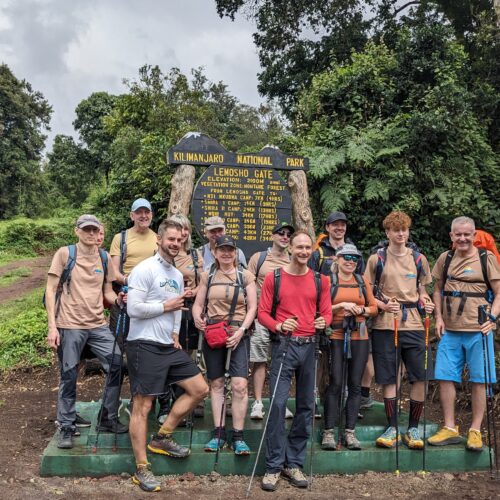 7 Days Lemosho Route Kilimanjaro Climb | Scenic Trek to Uhuru Peak