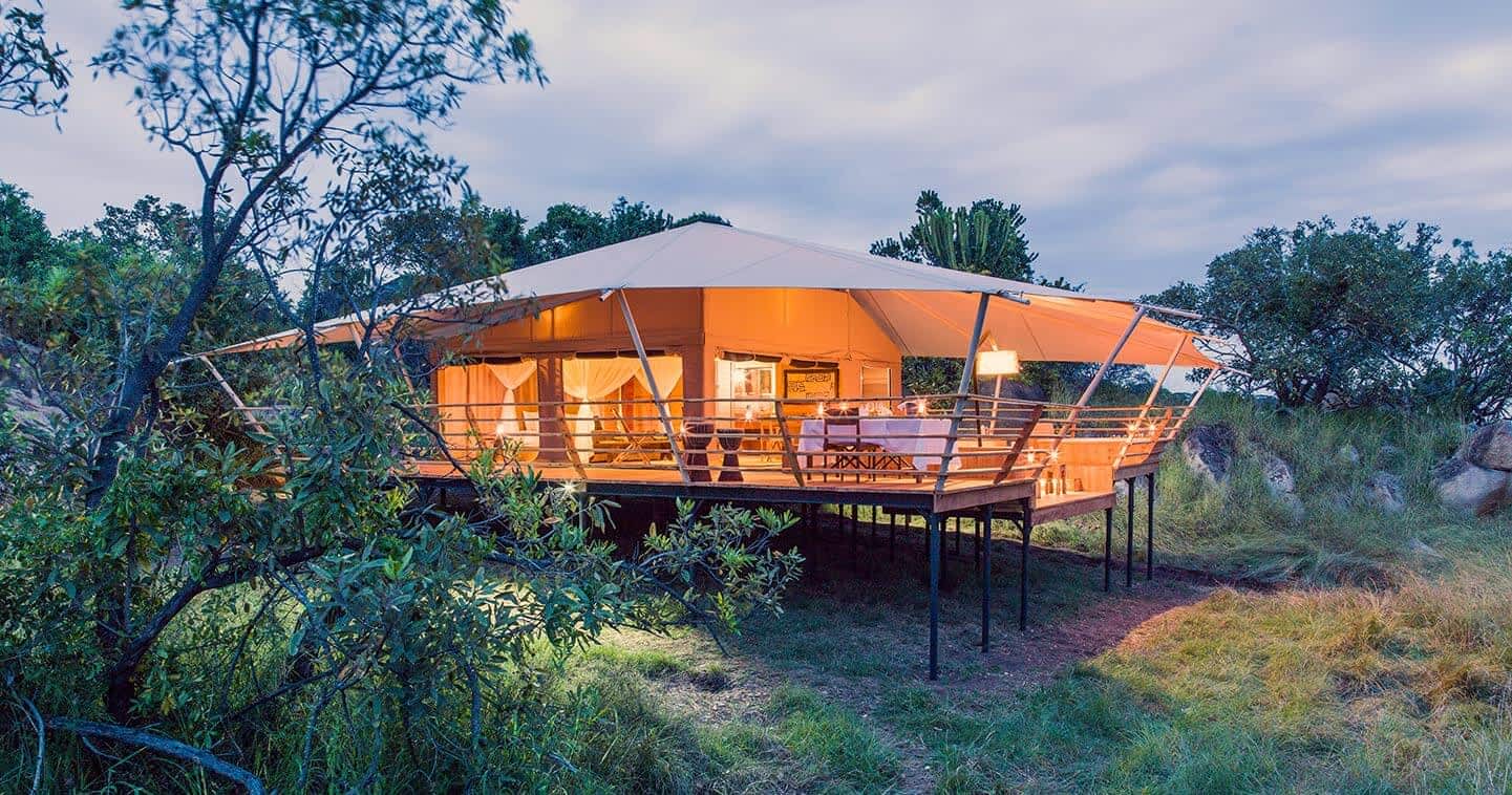 Luxury Safari