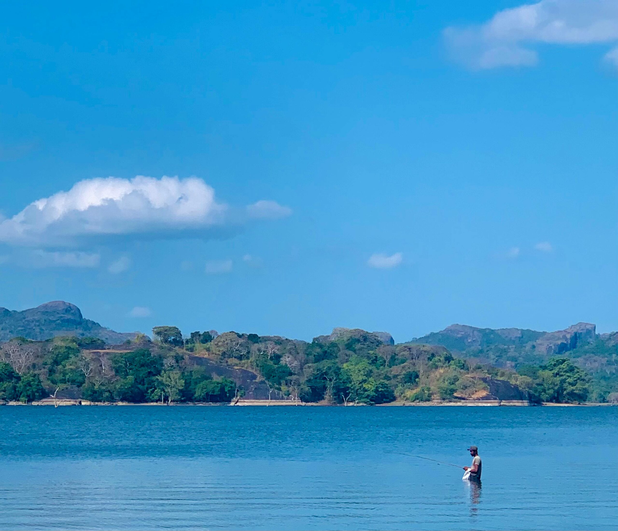 Budget Tanzania Safari