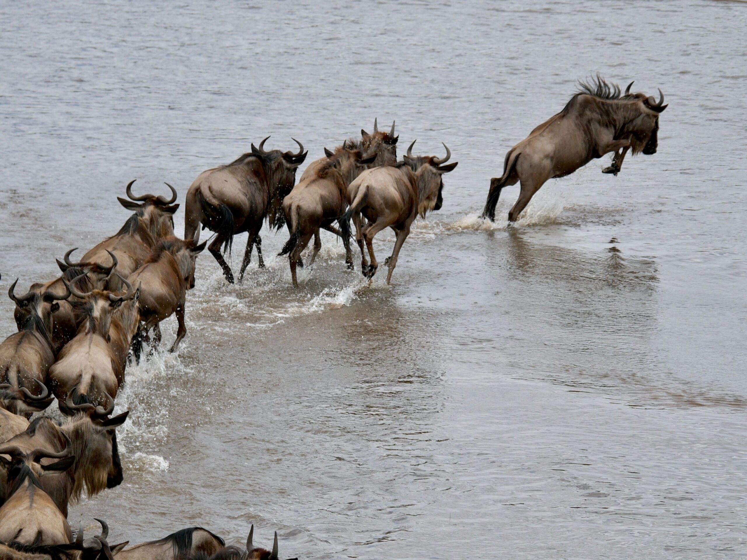 Tarangire, Lake Manyara & Ngorongoro