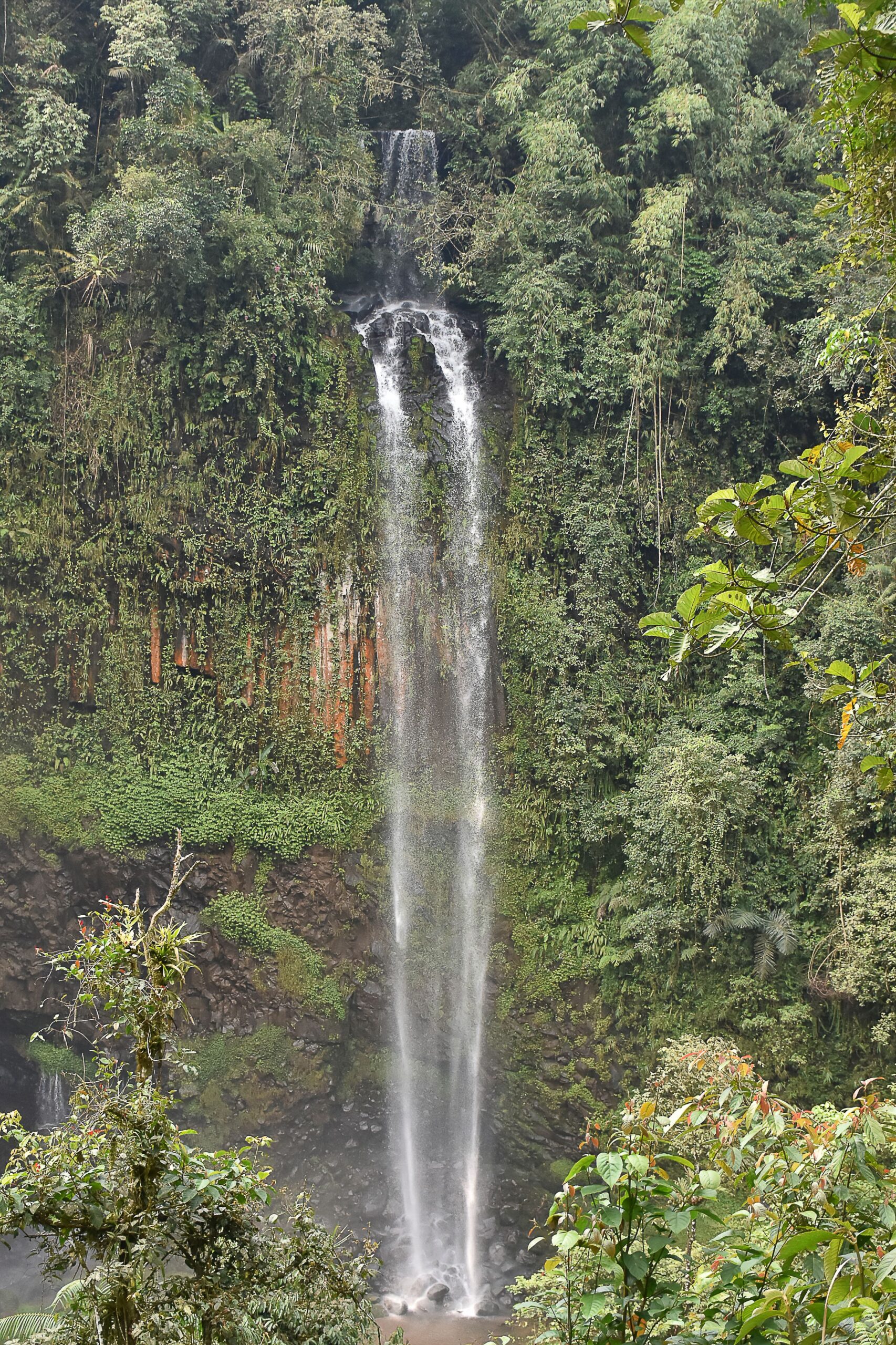 Private Tanzania Safari