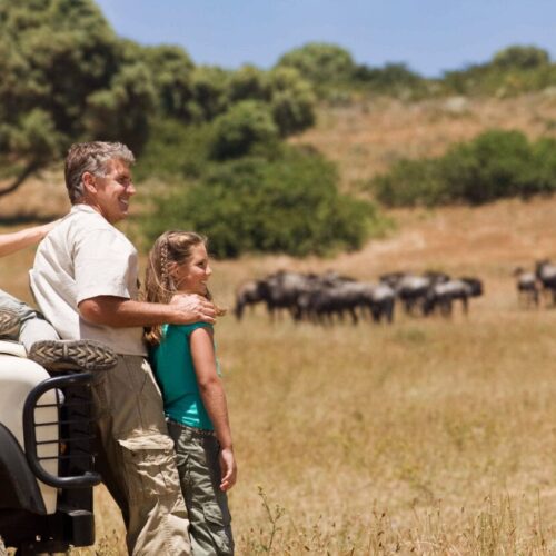 7-Day Tanzania Group Safari – Explore Serengeti, Ngorongoro Crater & Northern Circuit Wildlife
