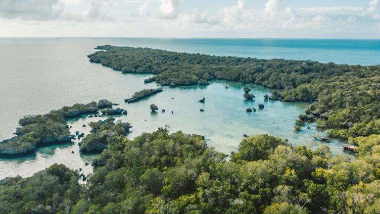 Zanzibar Travel Guide: Beaches, Culture & Cuisine